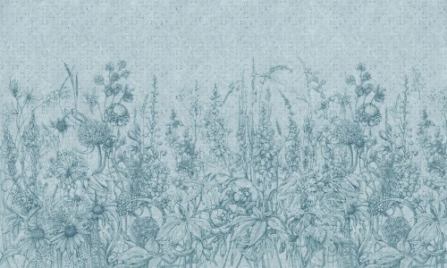 Fototapeta łąka Wonderwall Daisy 35030203