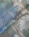 Fototapeta artystyczny las Wonderwall Lorien 35062303