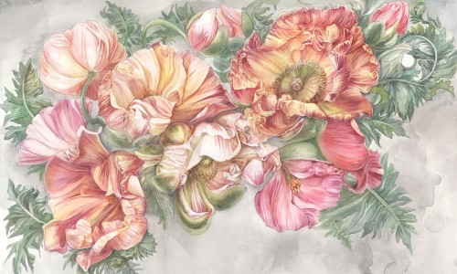 Fototapeta kwiaty Wonderwall Poeme 35030708