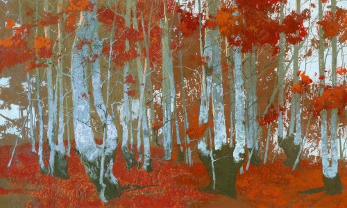 Fototapeta abstrakcyjny las Wonderwall Santal 35062905