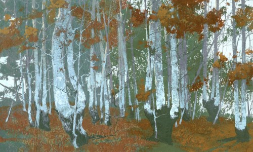 Fototapeta abstrakcyjny las Wonderwall Santal 35062908