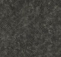 Tapeta imitująca słoje drewna York Wallcoverings OI0716 Modern Wood New Origins