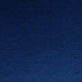 Tkanina welurowa obiciowa Romo 8003/23 Frieda Cobalt Temperley London Velvet
