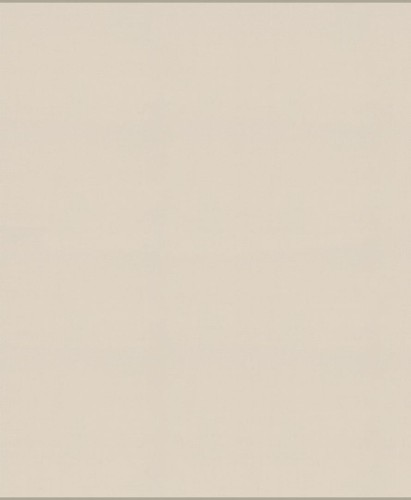 Tkanina jednokolorowa Camengo 39230659 Jive - 296 cm szer.