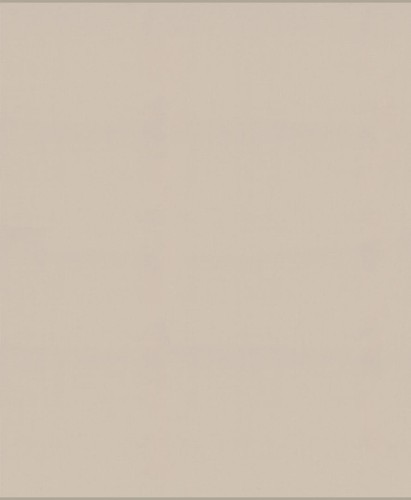 Tkanina jednokolorowa Camengo 39230742 Jive - 296 cm szer.