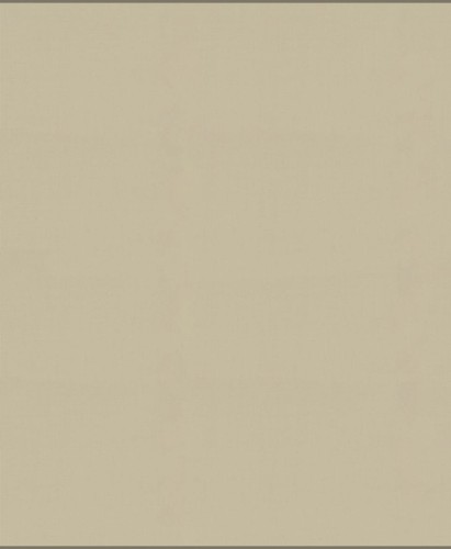 Tkanina jednokolorowa Camengo 39231064 Jive - 296 cm szer.