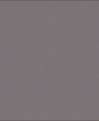 Tkanina jednokolorowa Camengo 39231441 Jive - 296 cm szer.