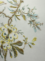 Tapeta tekstylna haftowana botaniczna Pierre Frey BP349003 Parvati Collection Anniversaire 1823-2023