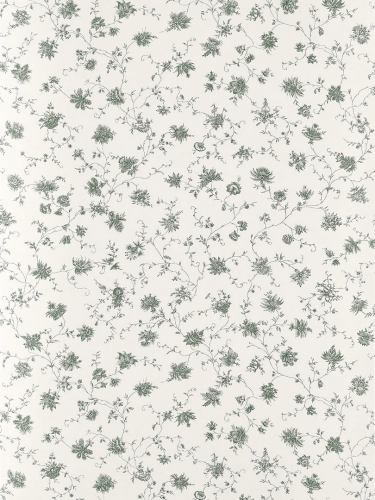 Tapeta roślinne pnącza Pierre Frey BP361002 La Discrete Collection Anniversaire 1823-2023