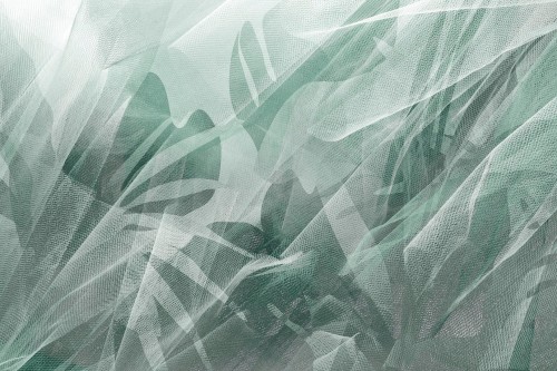 Fototapeta roślinna TapLab 569_001 ILLY Collection 24