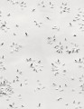 Fototapeta artystyczna w płatki kwiatów Rebel Walls R18739 Papercut Sand Natural Aesthetics