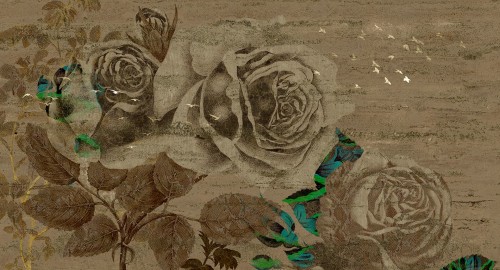 Fototapeta róże Muance MU15032 Enchanted Lush