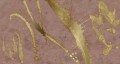 Fototapeta abstrakcyjna Muance MU15078 Splash Effect Lush