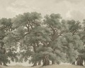 Fototapeta krajobraz dębów Rebel Walls R18819 Vintage Oaks Green Scenic Landscapes