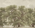 Fototapeta krajobraz dębów Rebel Walls R18820 Vintage Oaks Spring Scenic Landscapes
