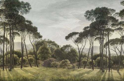 Fototapeta krajobraz drzew sosnowych Rebel Walls R18839 Pine Wood Green Scenic Landscapes