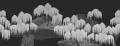 Fototapeta botaniczna w japońskim stylu London Art MUN08 C Saules Et Montagnes Tale Books: Les Mille et une Nuits