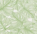 Tapeta liście monstery Seabrook SC20204 Summer House