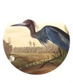 Mural okrągły ptak Dots Bird Grass 8690 Wallcolors