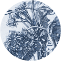 Mural okrągły kwiaty Wall Art Blue Flower Koło