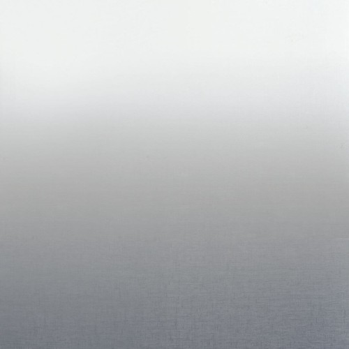 Tkanina woal cieniowany Camengo 44960213 Kisos Totem Sheers - 298 cm szer.