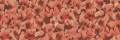 Fototapeta koralowce Rebel Walls R19822 Corals Red Anna Norrman