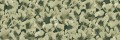 Fototapeta koralowce Rebel Walls R19823 Corals Green Anna Norrman