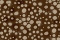 Fototapeta artystyczne kropki Rebel Walls R19826 Spotted Puffer Brown Anna Norrman
