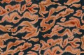 Fototapeta abstrakcyjna Rebel Walls R19828 Guppy Orange Anna Norrman