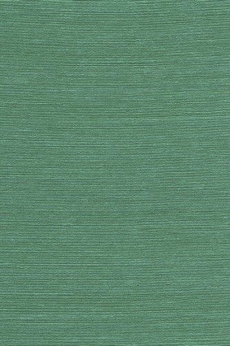 Tapeta naturalna sizal Arte Agave 90537 Boutique