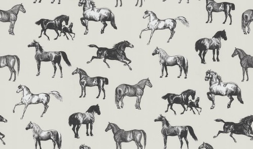 Fototapeta konie Sandberg S10411 Colette Special Edition