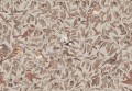 Fototapeta ptaki i liście Rebel Walls R19261 Backwood Birds Brown Ilon Wikland