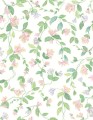 Tapeta roślinne pnącza Cole & Son Flora 124/3015 Selection of Hummingbirds