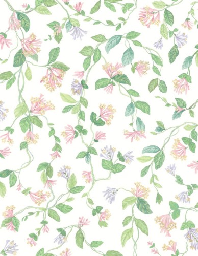 Tapeta roślinne pnącza Cole & Son Flora 124/3015 Selection of Hummingbirds