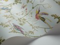Tapeta ptaki Cole & Son Hummingbirds 100/14069 Selection of Hummingbirds