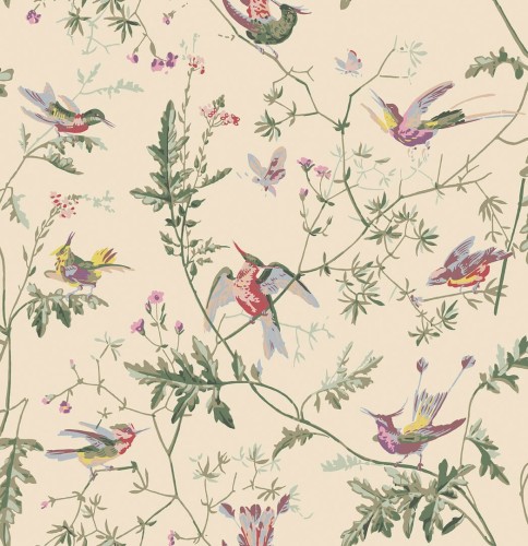 Tapeta ptaki Cole & Son Hummingbirds 100/14071 Selection of Hummingbirds