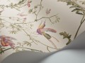 Tapeta ptaki Cole & Son Hummingbirds 100/14071 Selection of Hummingbirds