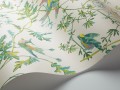 Tapeta ptaki Cole & Son Hummingbirds 112/4015 Selection of Hummingbirds