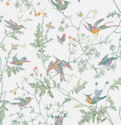 Tapeta ptaki Cole & Son Hummingbirds 112/4016 Selection of Hummingbirds
