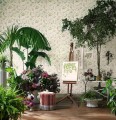 Tapeta ptaki Cole & Son Hummingbirds 124/1001 Selection of Hummingbirds