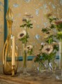 Tapeta ptaki Cole & Son Hummingbirds 124/1006 Selection of Hummingbirds