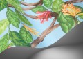 Mural botaniczny - pnącza roślin, ptaki i motyle Cole & Son Hummingbirds Flora 124/2011 Selection of Hummingbirds