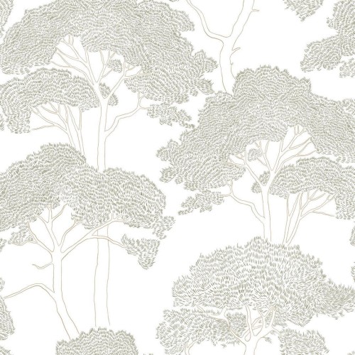 Tapeta sosnowy las Caselio 105430725 La Ciotat Azur