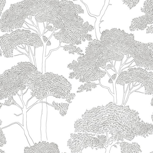 Tapeta sosnowy las Caselio 105430903 La Ciotat Azur