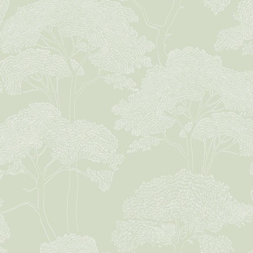 Tapeta sosnowy las Caselio 105437047 La Ciotat Azur