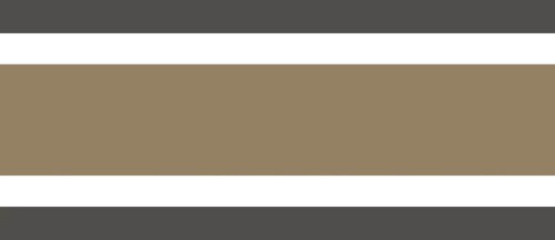 Border pasy Casadeco SOLI 200382567 L'elegante Soliflore