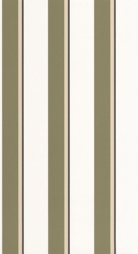Tapeta paski Caselio GPC 105530753 Linear Graphic