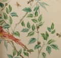 Tapeta botaniczna w stylu chinoiserie Colefax and Fowler W7021-04 Ashdown
