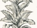 Tapeta liście bananowca Wallquest Lillian August LN40600 Coastal Haven