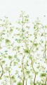 Mural naturalny Wallquest GL22500M Grasslands